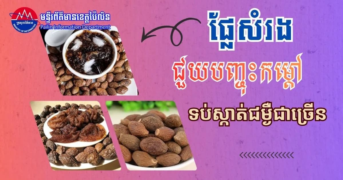 ផ្លែសំរង ជួយបញ្ចុះកម្ដៅទប់ស្កាត់ជម្ងឺជាច្រើន