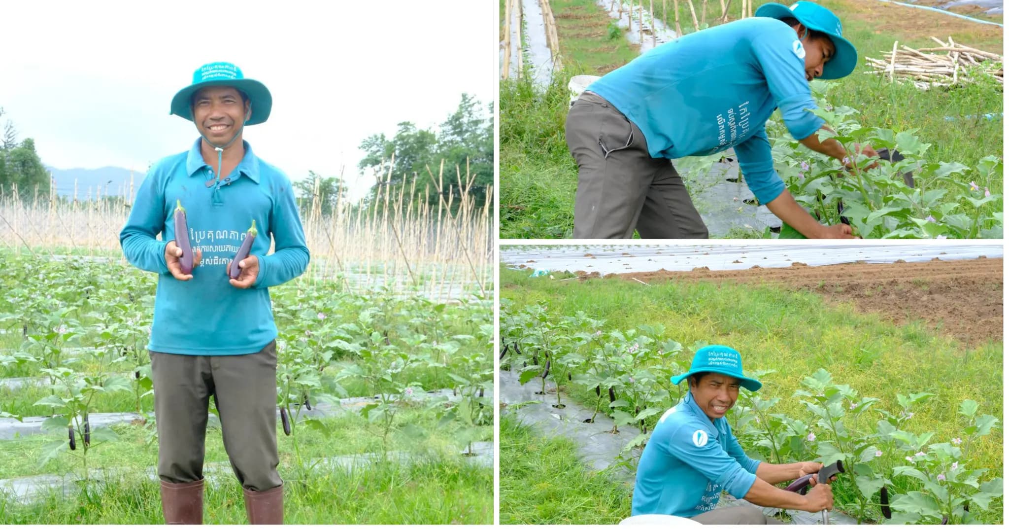 ការចូលរួមជាសមាជិកសហគមន៍កសិកម្ម បានក្លាយជាចំណុចសំខាន់មួយដែលជួយឱ្យកសិករនៅមូលដ្ឋានទទួលបានទាំងចំណេះដឹង បច្ចេកទេស និងបទពិសោធន៍ថ្មីៗ ក្នុងការងារដាំដុះ ដើម្បីឈានទៅរកការផលិតបន្លែដែលមានគុណភាព និងសុវត្ថិភាព ព្រមទាំងបង្កើនប្រាក់ចំណូលសម្រាប់គ្រួសារ